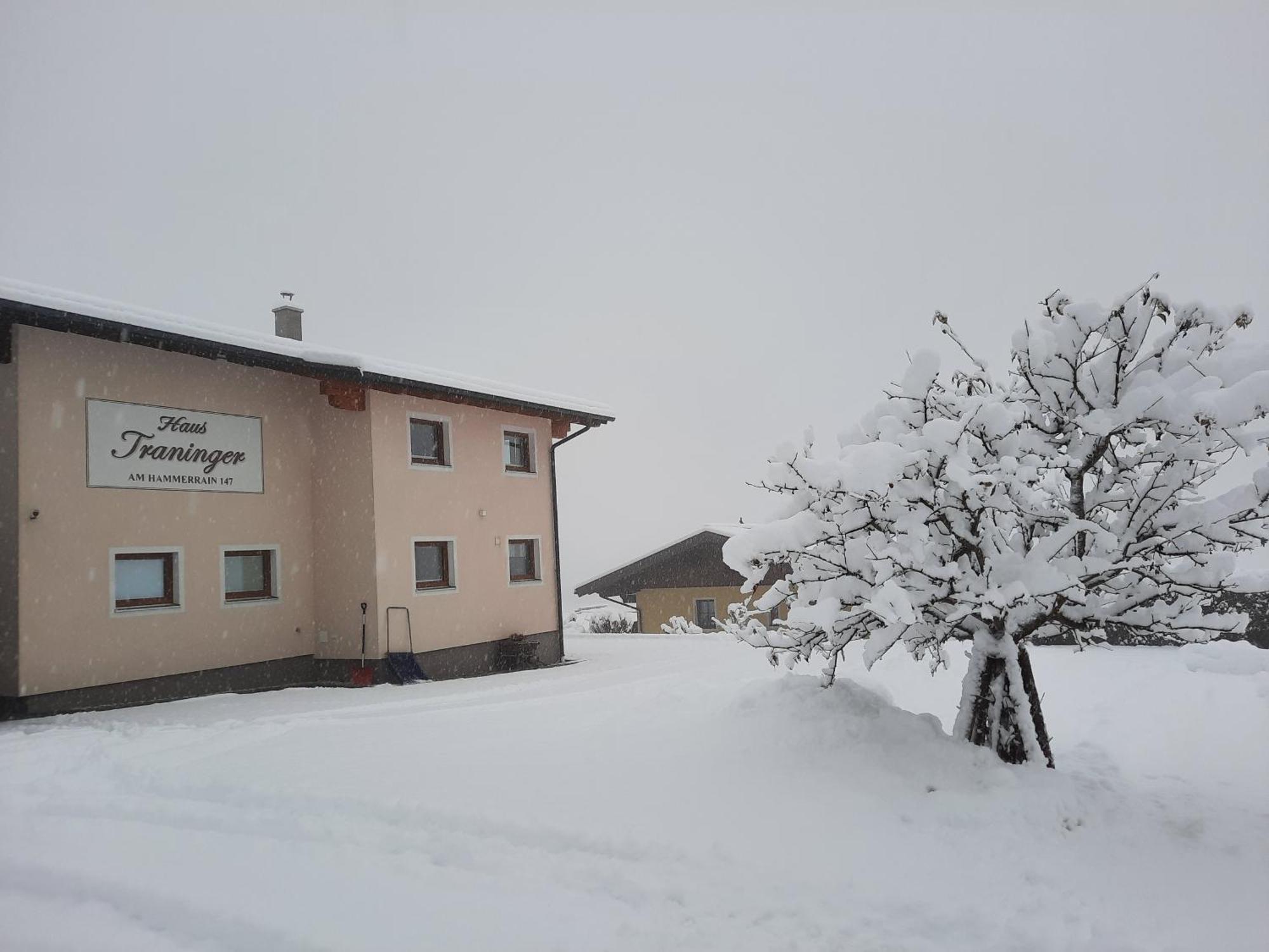 Haus Traninger Leilighet Flachau Eksteriør bilde