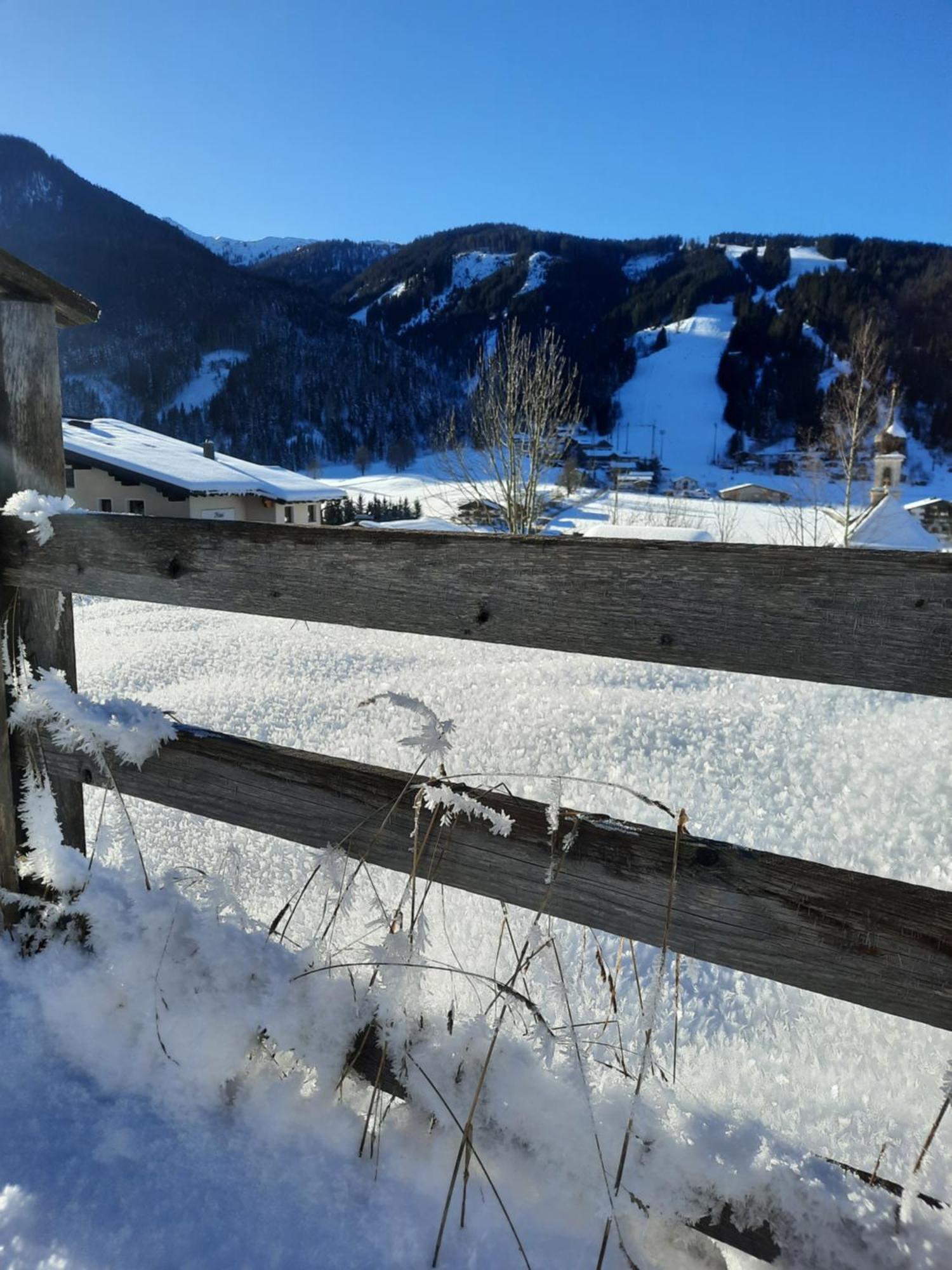 Haus Traninger Leilighet Flachau Eksteriør bilde